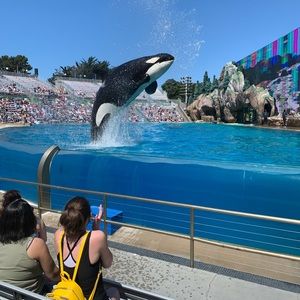 Meet your Posher, Ruben